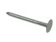 Galv Clout Nail Tub-2.5KG 65X2.65MM